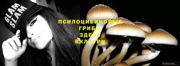 марки lsd Переславль-Залесский