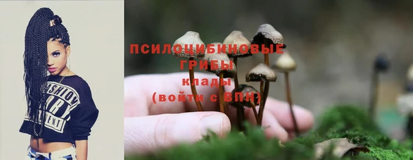 марки lsd Переславль-Залесский