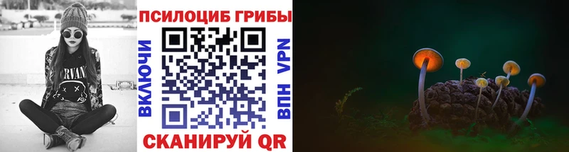 Псилоцибиновые грибы MAGIC MUSHROOMS Нижний Ломов